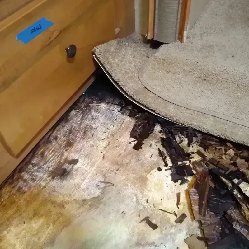 Best Wood Floor Water Damage Service in Elk Rapids, MI